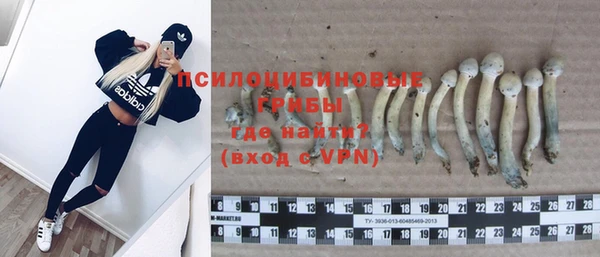таблы Весьегонск