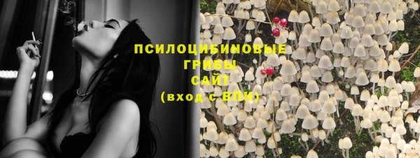 шишки Зерноград