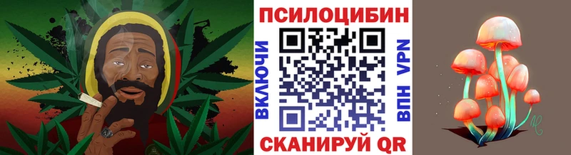 Псилоцибиновые грибы Cubensis Ишимбай